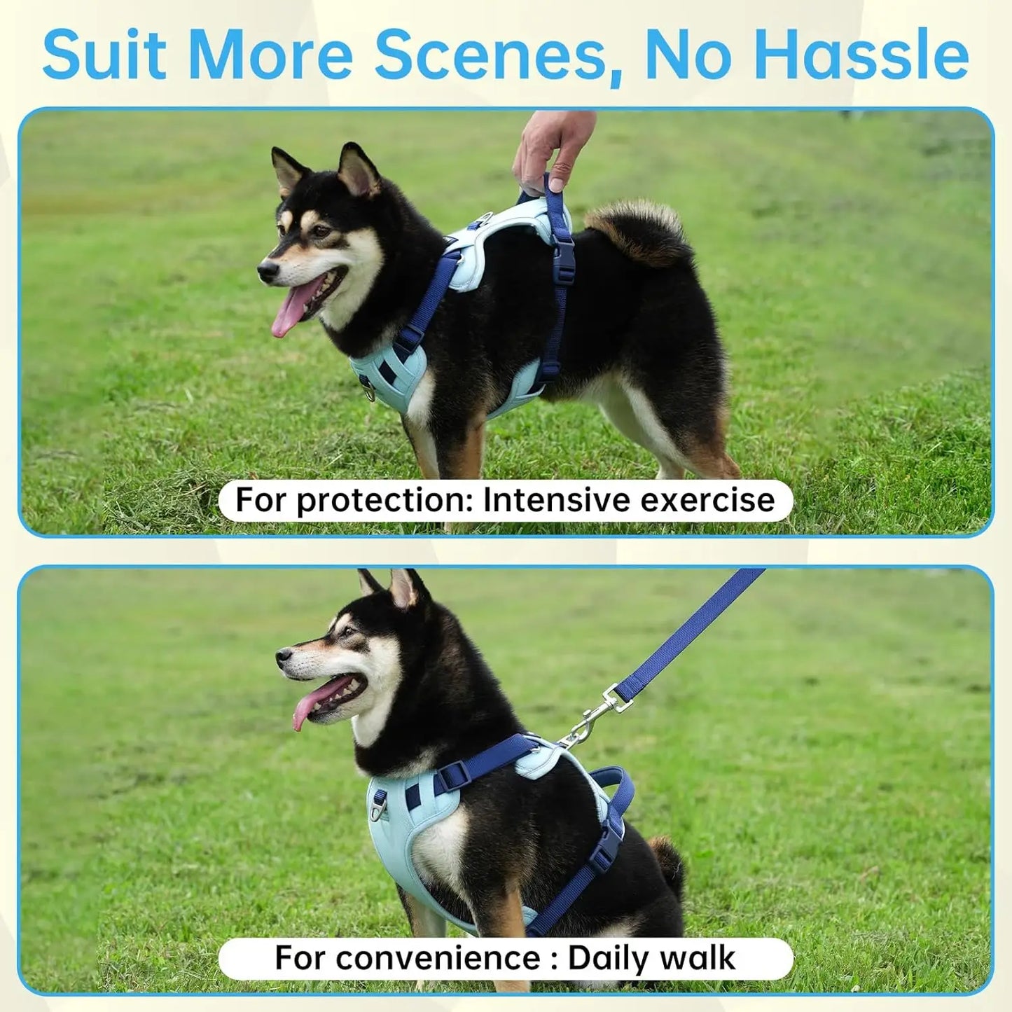 3-in-1 No-Pull Dog Harness Leash Collar Set, Adjustable Reflective Vest Comfortable Handle Blue Large