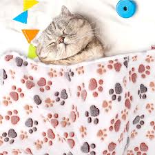 Cat Blankets