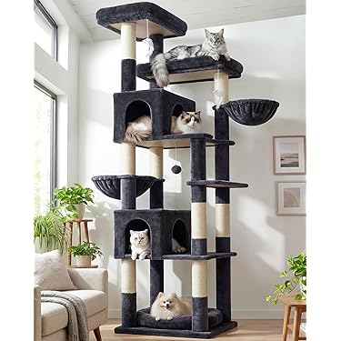 Cat Towers