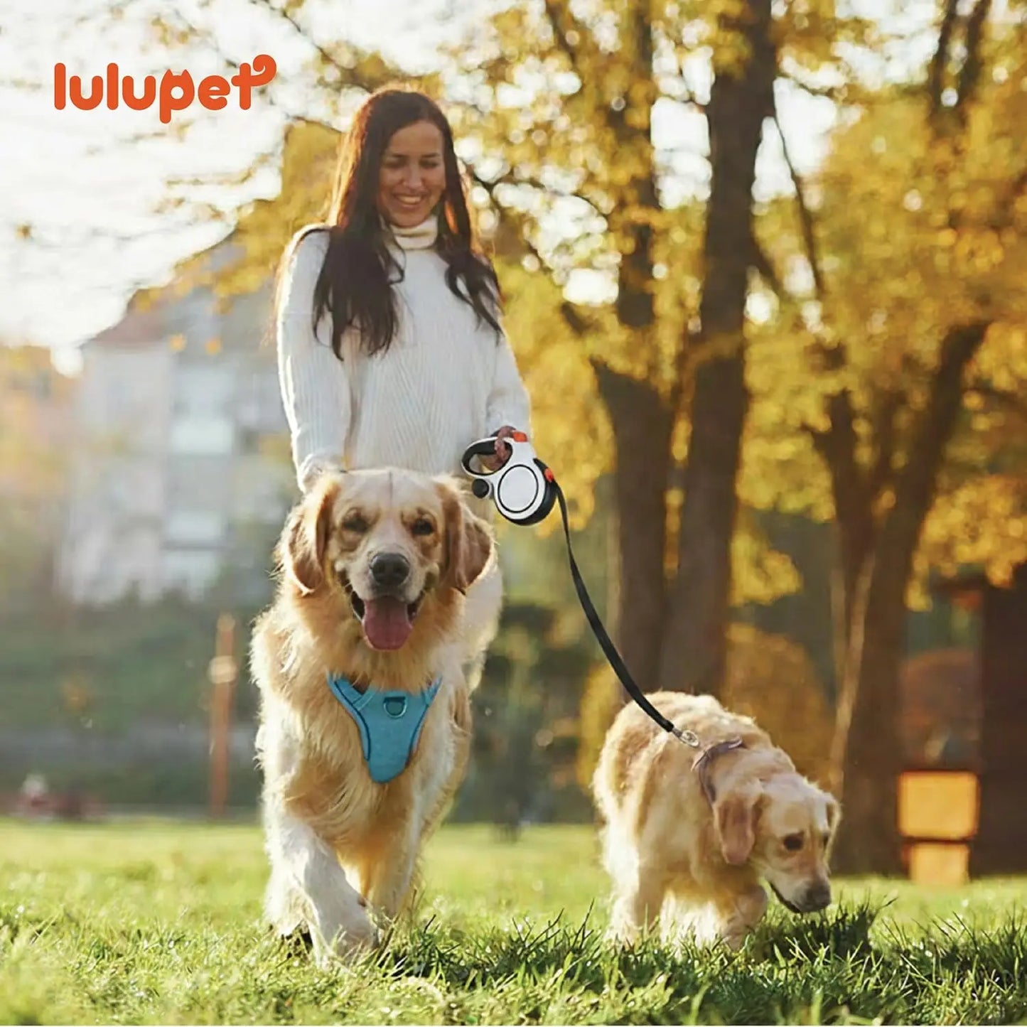 3-in-1 No-Pull Dog Harness Leash Collar Set, Adjustable Reflective Vest Comfortable Handle Blue Large