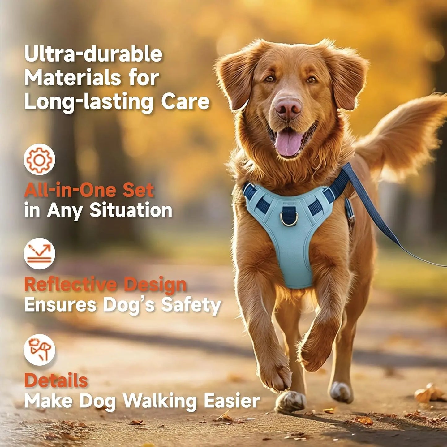 3-in-1 No-Pull Dog Harness Leash Collar Set, Adjustable Reflective Vest Comfortable Handle Blue Large