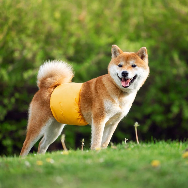 Reusable Male Dog Belly Bands, Washable & Adjustable Diapers, Anti-Mating Harassment, Estrus Safety Pants with Absorbent Layer