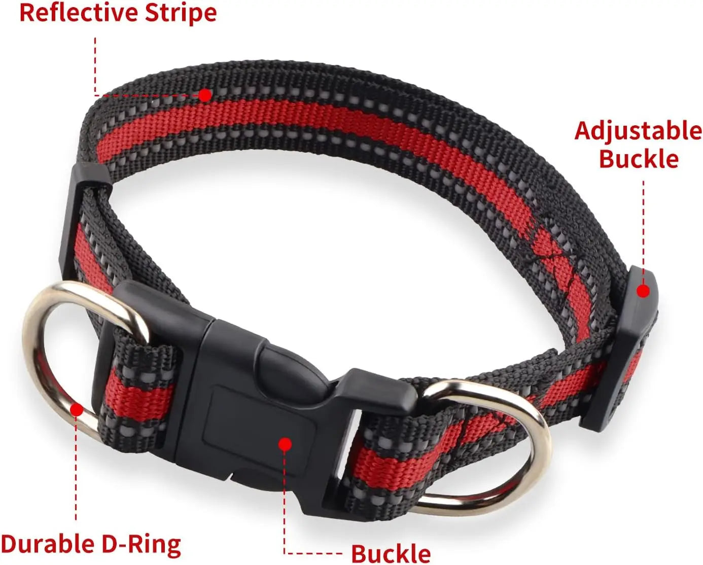 Highly Reflective Adjustable Dog Collar with Dual Metal D-Rings - Classic Colors for Small/Medium Dogs, 2-Pack (Red and Violet,M