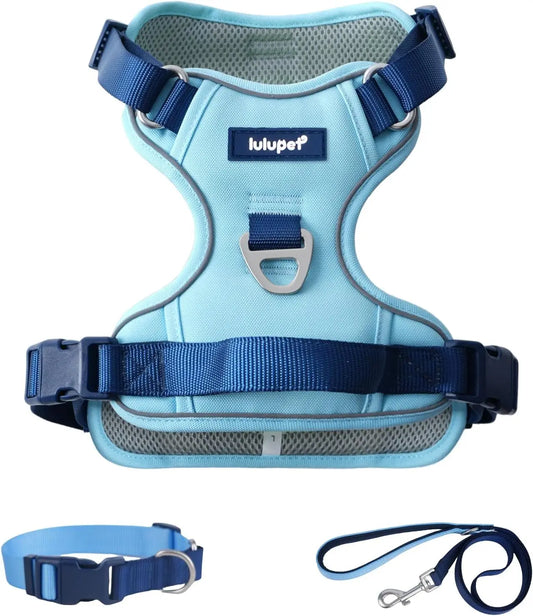 3-in-1 No-Pull Dog Harness Leash Collar Set, Adjustable Reflective Vest Comfortable Handle Blue Large