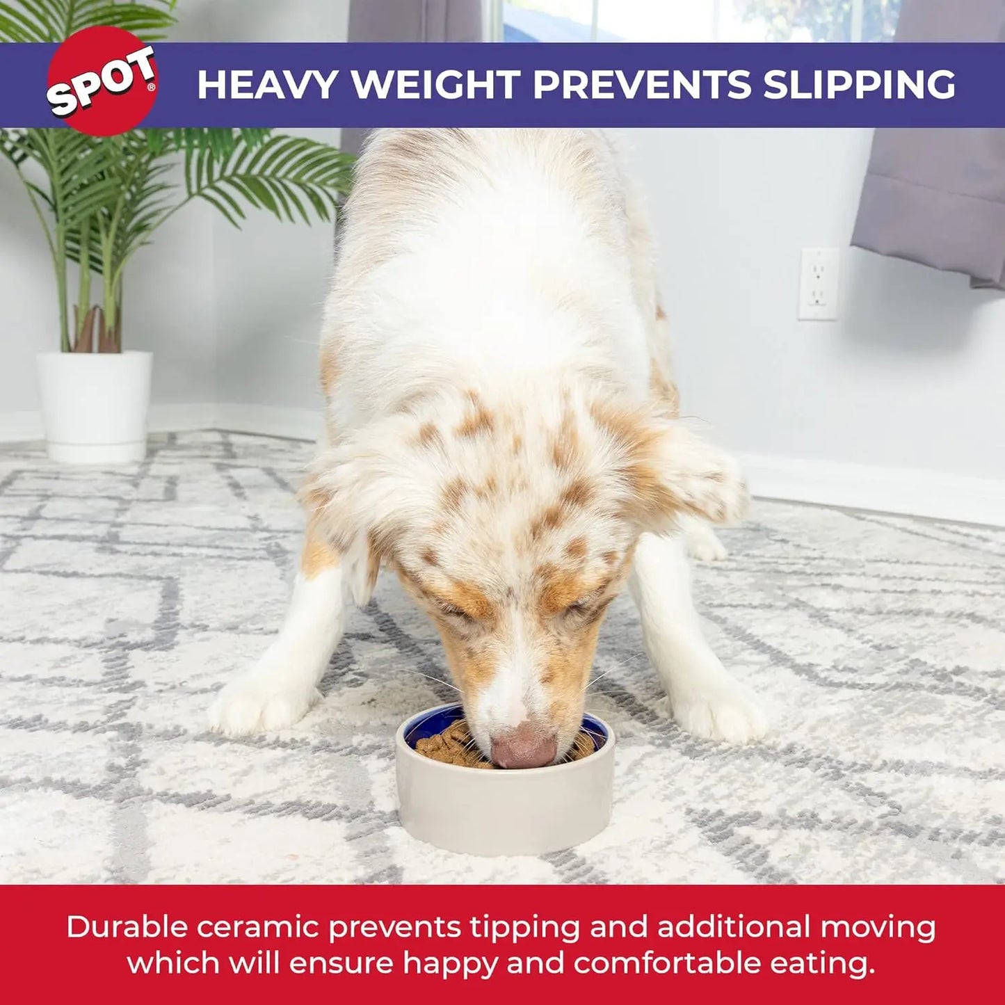Heavy Duty Non-Slip Ceramic Pet Bowl for Cats and Small Dogs, Food and Water Dish