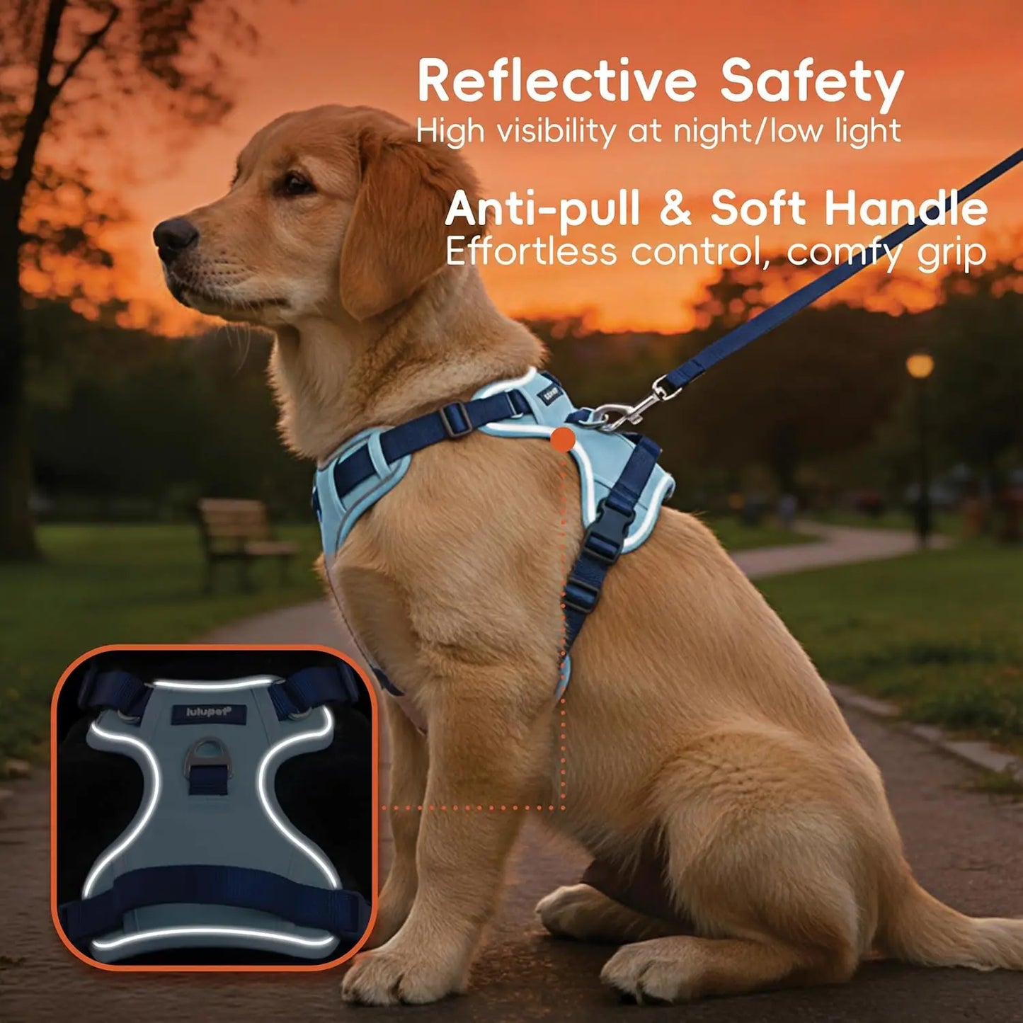 3-in-1 No-Pull Dog Harness Leash Collar Set, Adjustable Reflective Vest Comfortable Handle Blue Large
