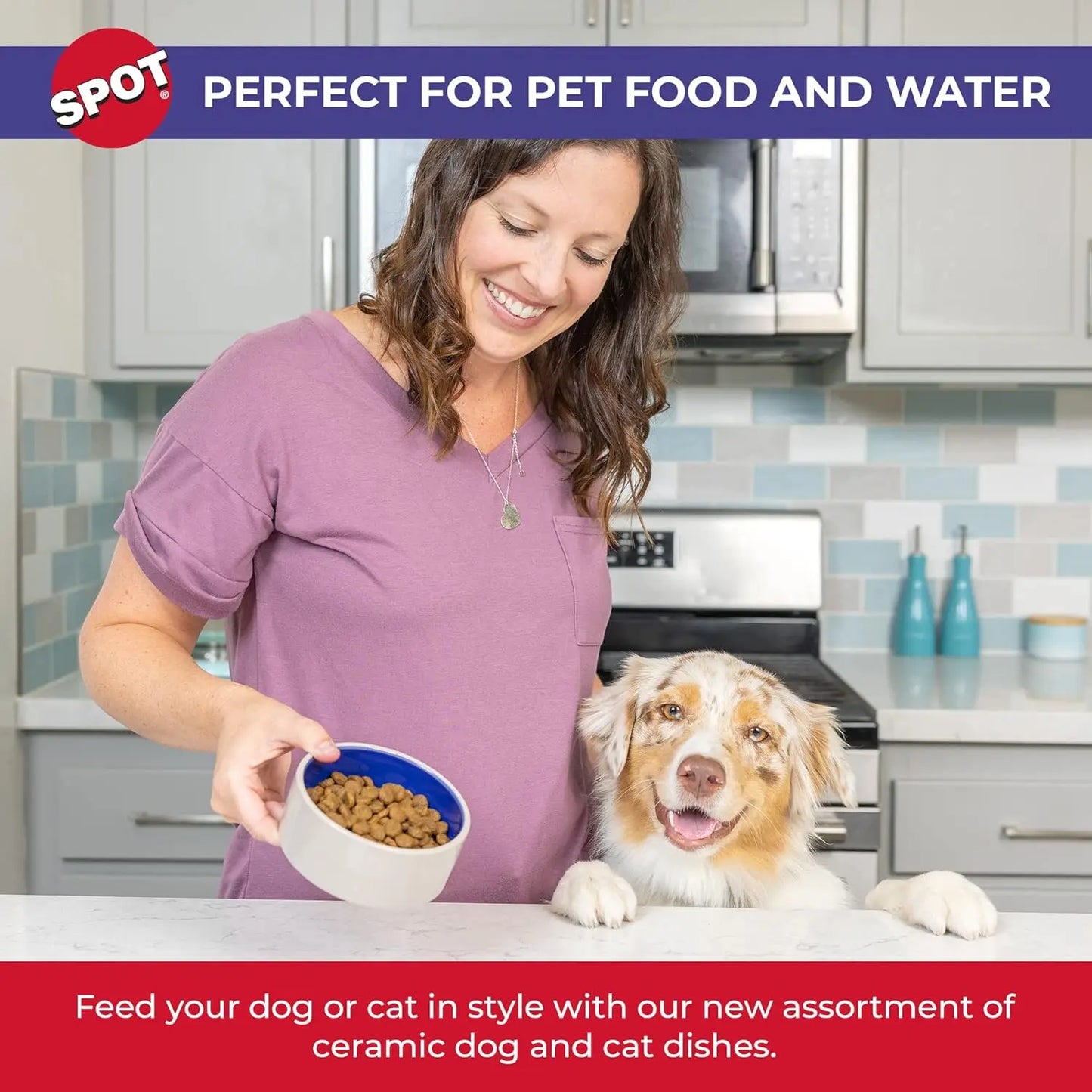 Heavy Duty Non-Slip Ceramic Pet Bowl for Cats and Small Dogs, Food and Water Dish
