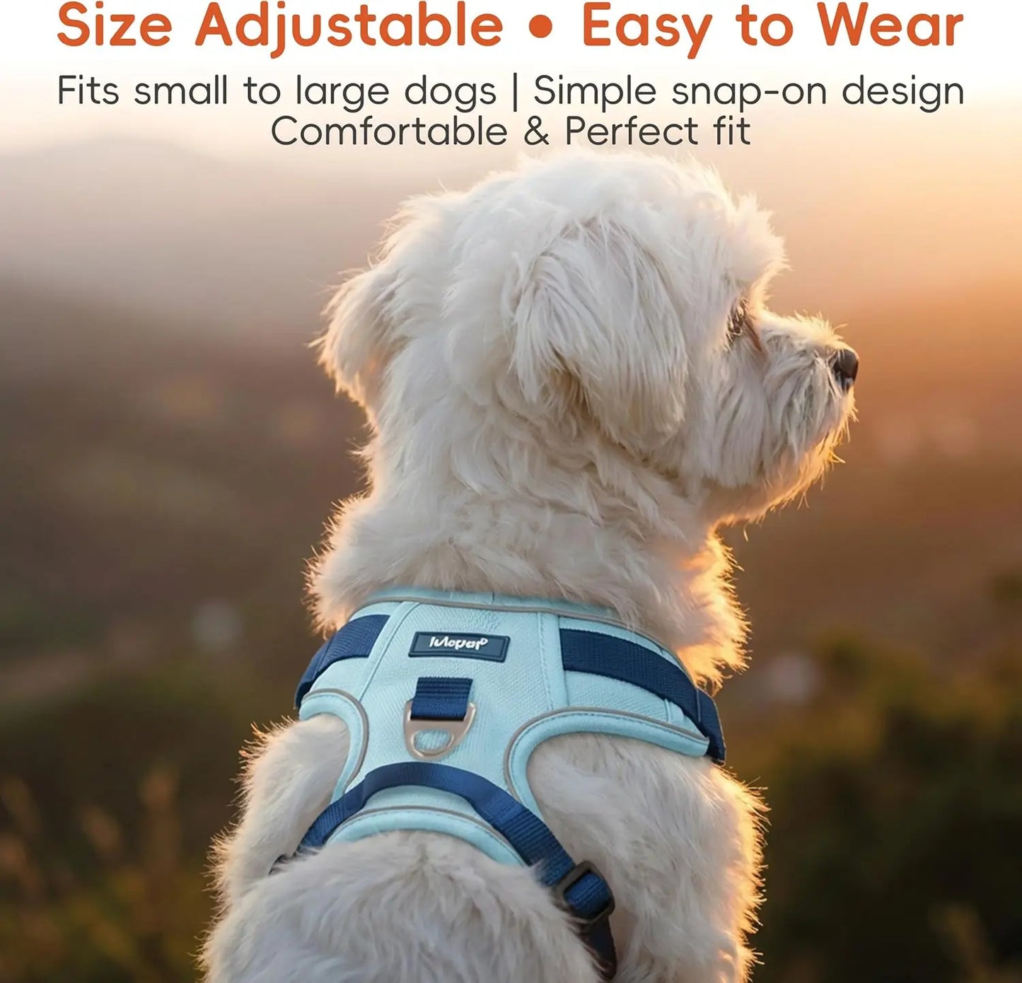 3-in-1 No-Pull Dog Harness Leash Collar Set, Adjustable Reflective Vest Comfortable Handle Blue Large